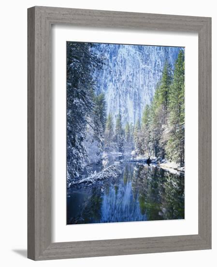 Snow Covered Trees Along Merced River, Yosemite Valley, Yosemite National Park, California, USA-Scott T. Smith-Framed Photographic Print