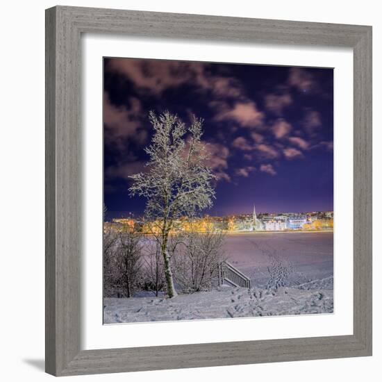 Snow Covered Trees and Frozen Pond, Reykjavik, Iceland-null-Framed Photographic Print