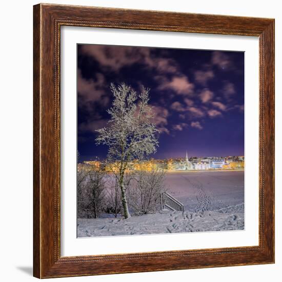 Snow Covered Trees and Frozen Pond, Reykjavik, Iceland-null-Framed Photographic Print