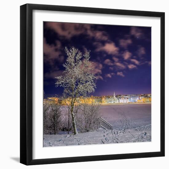 Snow Covered Trees and Frozen Pond, Reykjavik, Iceland-null-Framed Photographic Print