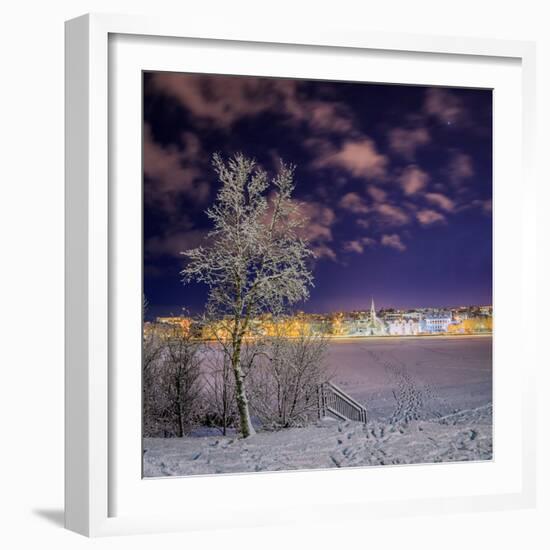 Snow Covered Trees and Frozen Pond, Reykjavik, Iceland-null-Framed Photographic Print