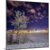 Snow Covered Trees and Frozen Pond, Reykjavik, Iceland-null-Mounted Photographic Print