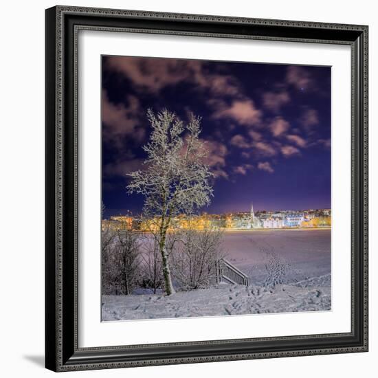 Snow Covered Trees and Frozen Pond, Reykjavik, Iceland-null-Framed Photographic Print