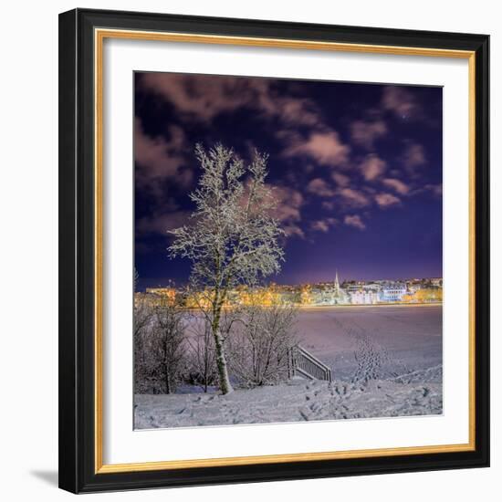 Snow Covered Trees and Frozen Pond, Reykjavik, Iceland-null-Framed Photographic Print