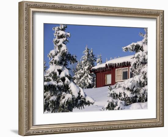 Snow Covered Trees and House, with Icicles, Near Sjusjoen, Lillehammer Area, Norway, Scandinavia-Woolfitt Adam-Framed Photographic Print