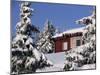 Snow Covered Trees and House, with Icicles, Near Sjusjoen, Lillehammer Area, Norway, Scandinavia-Woolfitt Adam-Mounted Photographic Print