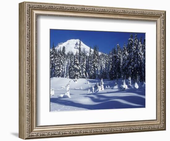 Snow Covered Trees and Moguls of Mt. Hood, Oregon, USA-Janis Miglavs-Framed Photographic Print