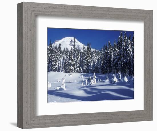 Snow Covered Trees and Moguls of Mt. Hood, Oregon, USA-Janis Miglavs-Framed Photographic Print