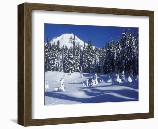 Snow Covered Trees and Moguls of Mt. Hood, Oregon, USA-Janis Miglavs-Framed Photographic Print