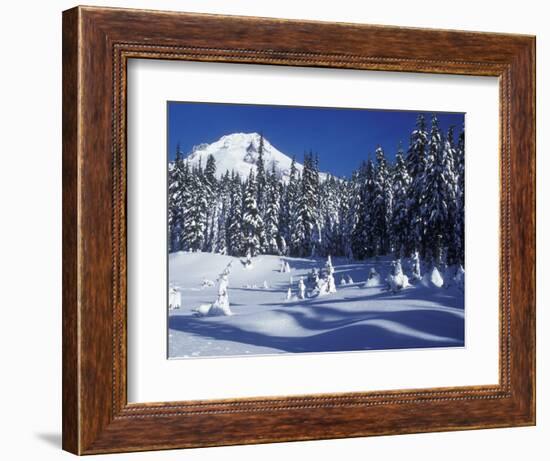 Snow Covered Trees and Moguls of Mt. Hood, Oregon, USA-Janis Miglavs-Framed Photographic Print