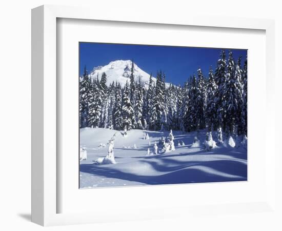 Snow Covered Trees and Moguls of Mt. Hood, Oregon, USA-Janis Miglavs-Framed Photographic Print