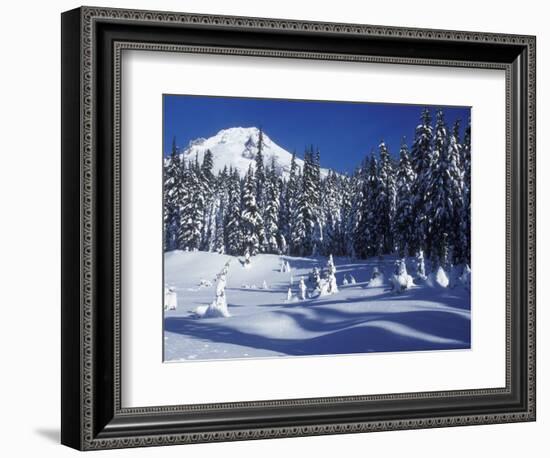 Snow Covered Trees and Moguls of Mt. Hood, Oregon, USA-Janis Miglavs-Framed Photographic Print