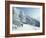 Snow Covered Trees and Snowshoe Tracks, White Mountain National Forest, New Hampshire, USA-Jerry & Marcy Monkman-Framed Photographic Print