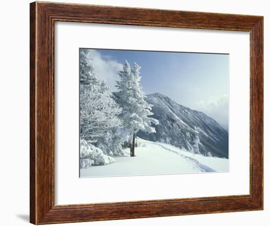 Snow Covered Trees and Snowshoe Tracks, White Mountain National Forest, New Hampshire, USA-Jerry & Marcy Monkman-Framed Photographic Print