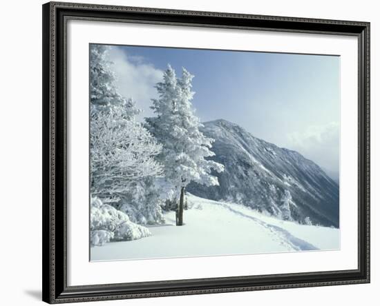 Snow Covered Trees and Snowshoe Tracks, White Mountain National Forest, New Hampshire, USA-Jerry & Marcy Monkman-Framed Photographic Print