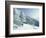 Snow Covered Trees and Snowshoe Tracks, White Mountain National Forest, New Hampshire, USA-Jerry & Marcy Monkman-Framed Photographic Print