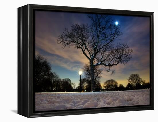 Snow Covered Trees at Night in Hyde Park, London-Alex Saberi-Framed Premier Image Canvas