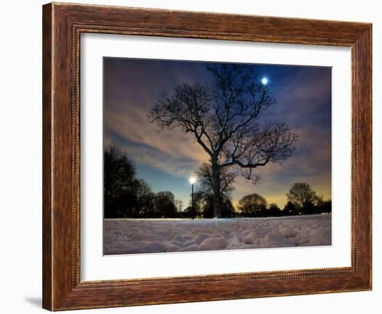 Snow Covered Trees at Night in Hyde Park, London-Alex Saberi-Framed Photographic Print