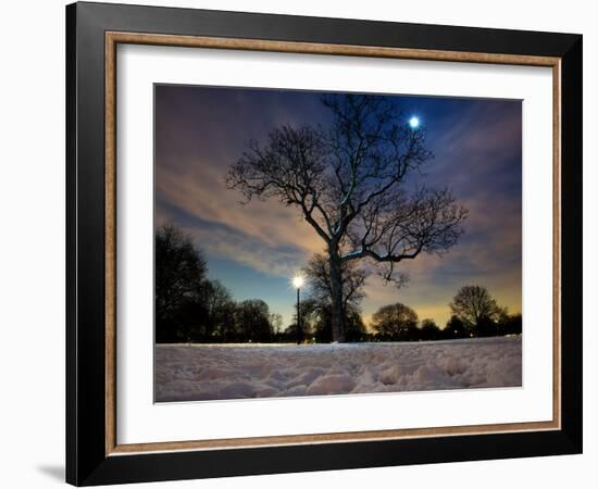 Snow Covered Trees at Night in Hyde Park, London-Alex Saberi-Framed Photographic Print