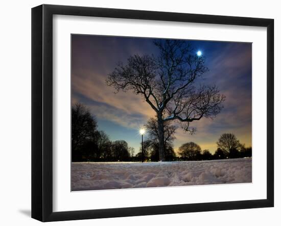 Snow Covered Trees at Night in Hyde Park, London-Alex Saberi-Framed Photographic Print