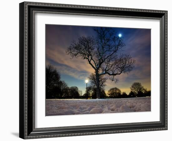 Snow Covered Trees at Night in Hyde Park, London-Alex Saberi-Framed Photographic Print