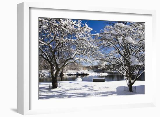 Snow Covered Trees at Riverside-George Oze-Framed Photographic Print