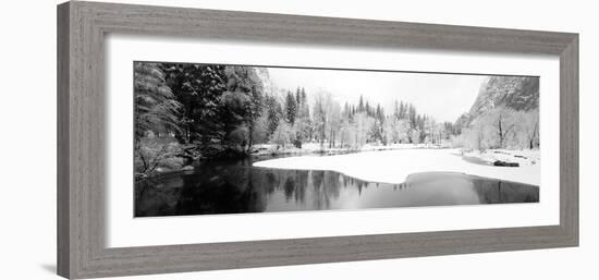 Snow Covered Trees in a Forest, Yosemite National Park, California, USA-null-Framed Photographic Print