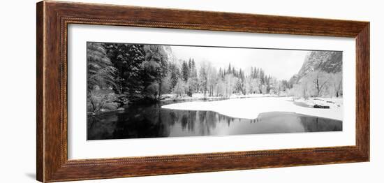 Snow Covered Trees in a Forest, Yosemite National Park, California, USA-null-Framed Photographic Print