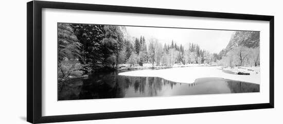 Snow Covered Trees in a Forest, Yosemite National Park, California, USA-null-Framed Photographic Print