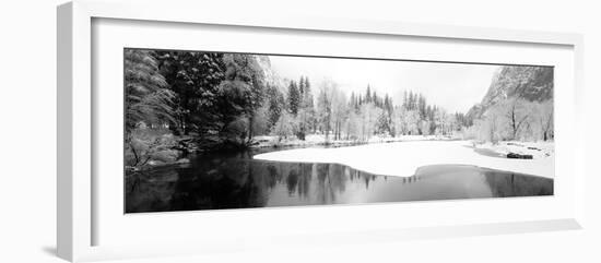 Snow Covered Trees in a Forest, Yosemite National Park, California, USA-null-Framed Photographic Print