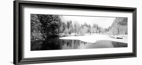 Snow Covered Trees in a Forest, Yosemite National Park, California, USA-null-Framed Photographic Print