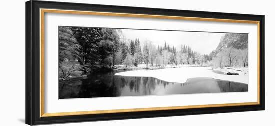 Snow Covered Trees in a Forest, Yosemite National Park, California, USA-null-Framed Photographic Print