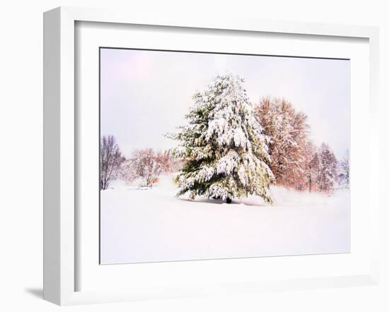 Snow Covered Trees in Winter Landscape-Jan Lakey-Framed Photographic Print