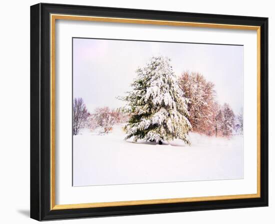 Snow Covered Trees in Winter Landscape-Jan Lakey-Framed Photographic Print