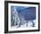 Snow Covered Trees, La Clusaz, France, 2015-Andrew Macara-Framed Giclee Print