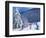 Snow Covered Trees, La Clusaz, France, 2015-Andrew Macara-Framed Giclee Print