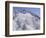 Snow Covered Trees on Mountain Top, Great Smoky Mountains National Park, Tennessee, USA-Adam Jones-Framed Photographic Print