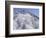 Snow Covered Trees on Mountain Top, Great Smoky Mountains National Park, Tennessee, USA-Adam Jones-Framed Photographic Print