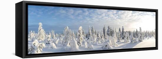 Snow Covered Trees, Riisitunturi National Park, Lapland, Finland-Peter Adams-Framed Premier Image Canvas