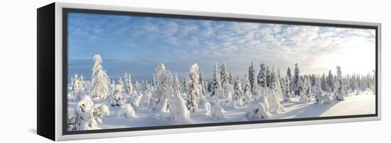 Snow Covered Trees, Riisitunturi National Park, Lapland, Finland-Peter Adams-Framed Premier Image Canvas