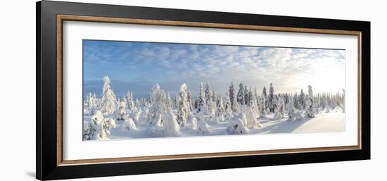 Snow Covered Trees, Riisitunturi National Park, Lapland, Finland-Peter Adams-Framed Photographic Print