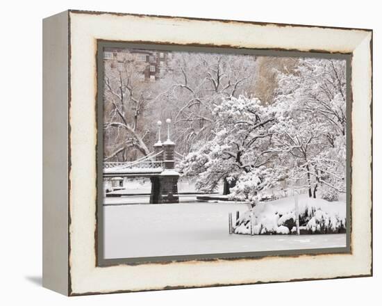 Snow covered trees with a footbridge in a public park, Boston Public Garden, Boston, Massachusetts,-Mark Hunt-Framed Premier Image Canvas