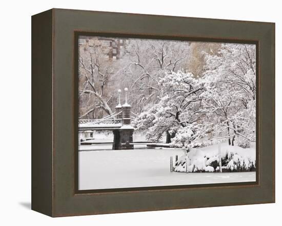 Snow covered trees with a footbridge in a public park, Boston Public Garden, Boston, Massachusetts,-Mark Hunt-Framed Premier Image Canvas