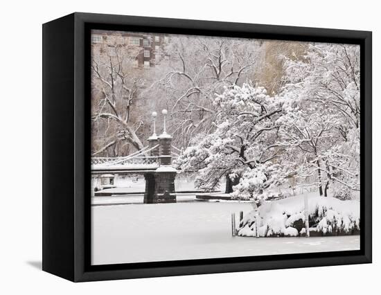 Snow covered trees with a footbridge in a public park, Boston Public Garden, Boston, Massachusetts,-Mark Hunt-Framed Premier Image Canvas