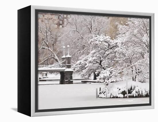 Snow covered trees with a footbridge in a public park, Boston Public Garden, Boston, Massachusetts,-Mark Hunt-Framed Premier Image Canvas