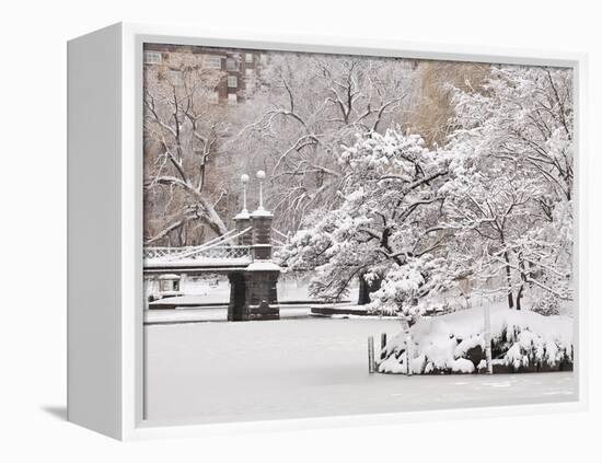 Snow covered trees with a footbridge in a public park, Boston Public Garden, Boston, Massachusetts,-Mark Hunt-Framed Premier Image Canvas