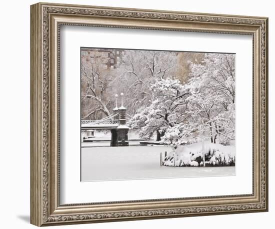 Snow covered trees with a footbridge in a public park, Boston Public Garden, Boston, Massachusetts,-Mark Hunt-Framed Photographic Print