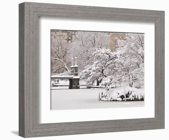 Snow covered trees with a footbridge in a public park, Boston Public Garden, Boston, Massachusetts,-Mark Hunt-Framed Photographic Print