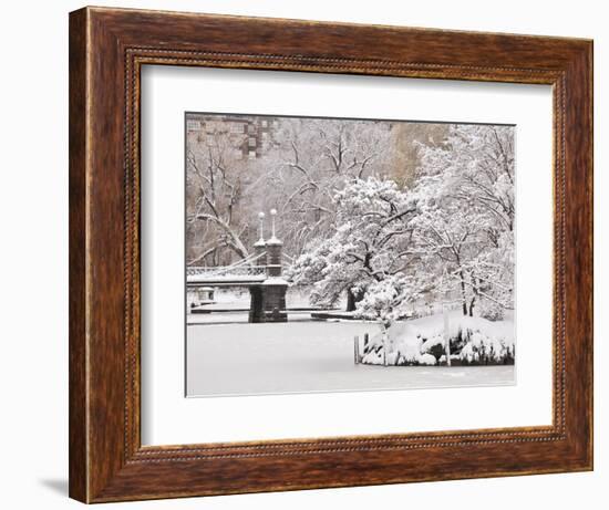 Snow covered trees with a footbridge in a public park, Boston Public Garden, Boston, Massachusetts,-Mark Hunt-Framed Photographic Print