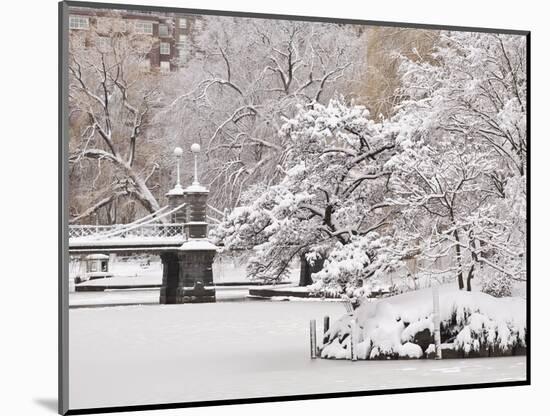 Snow covered trees with a footbridge in a public park, Boston Public Garden, Boston, Massachusetts,-Mark Hunt-Mounted Photographic Print